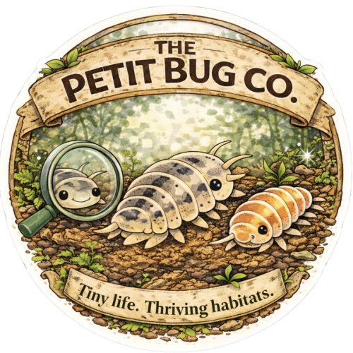 The Petit Bug Co.