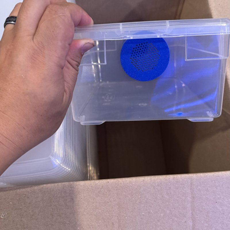 Isopod breeder bins 100% made in USA