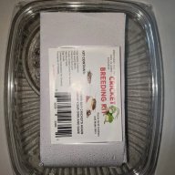 CRICKET BREEDING KIT