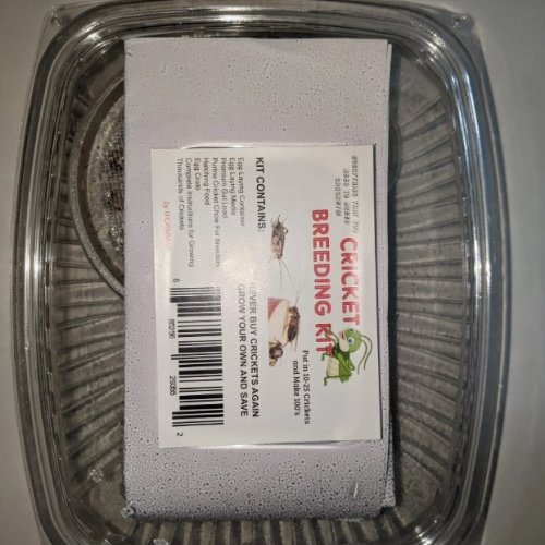 CRICKET BREEDING KIT